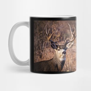 Mule Deer buck Mug